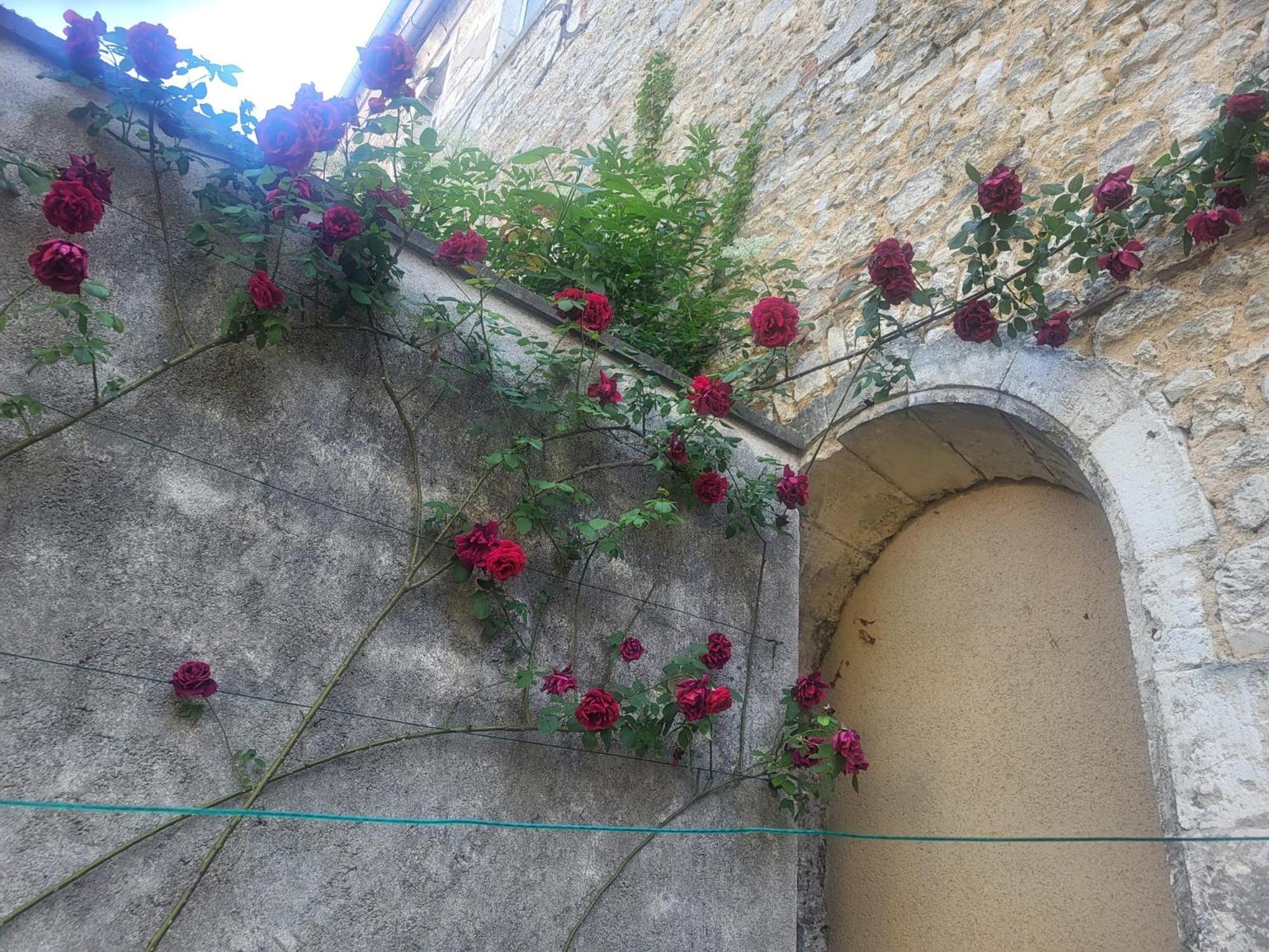 Au Puits De L'Abbaye Apartment Bourges Luaran gambar